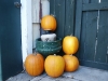 pumpkins pumpkins
