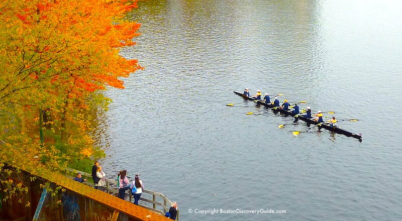 A crew team rows along the Charles River in Boston, MA. 