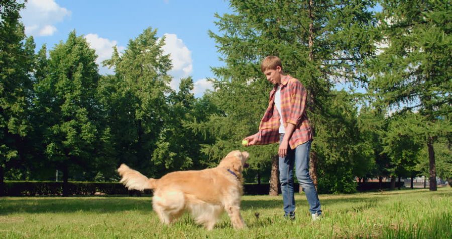 Tips on How to Stay Healthy and Connected During Quarantine