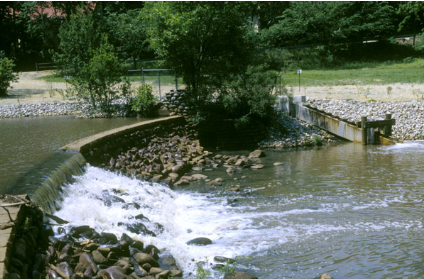 Cooper River Health Report
